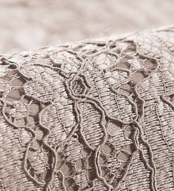 BELLUNA（ベルーナ）の「ボリューム袖総レースブラウス（ブラウス）」｜詳細画像