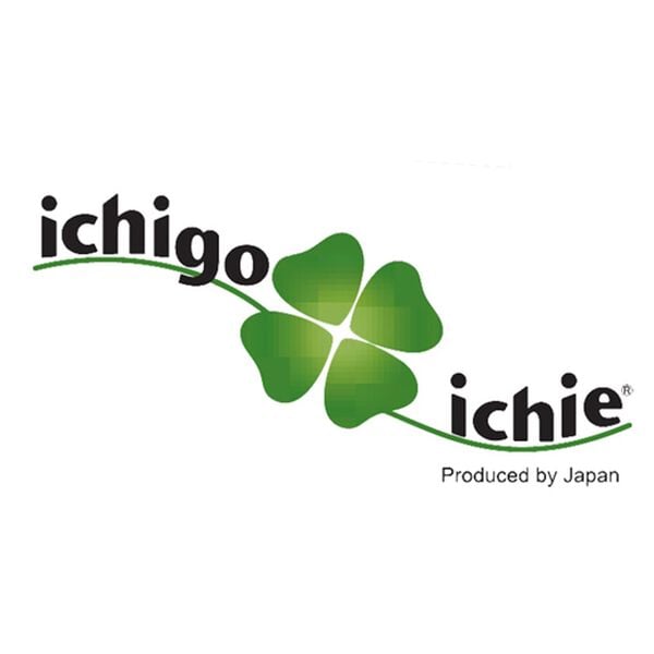 「スイスイ歩けるおしゃれカート（シニア・生活サポート）」｜詳細画像