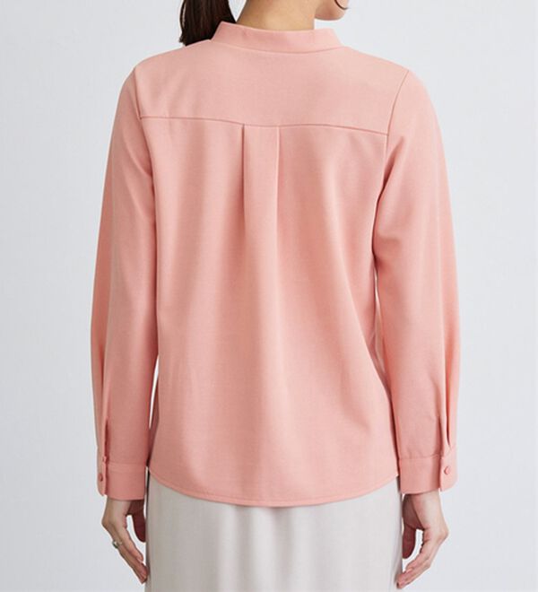 Pierrot（ピエロ）の「タイデザインＴブラウス（ブラウス）」｜詳細画像