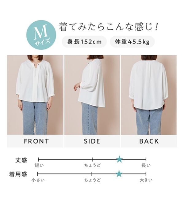 Viola e Viola（ヴィオラ エ ヴィオラ）の「さらさらＥＡＳＹ　２ＷＡＹ衿デザインブラウス（ブラウス）」｜詳細画像