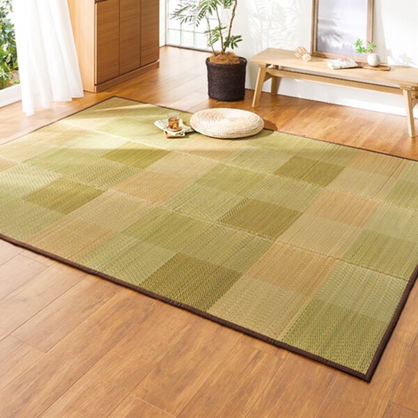 「お手入れカンタン防ダニはっ水い草ラグ（い草ラグ）」｜ブロックブラウン