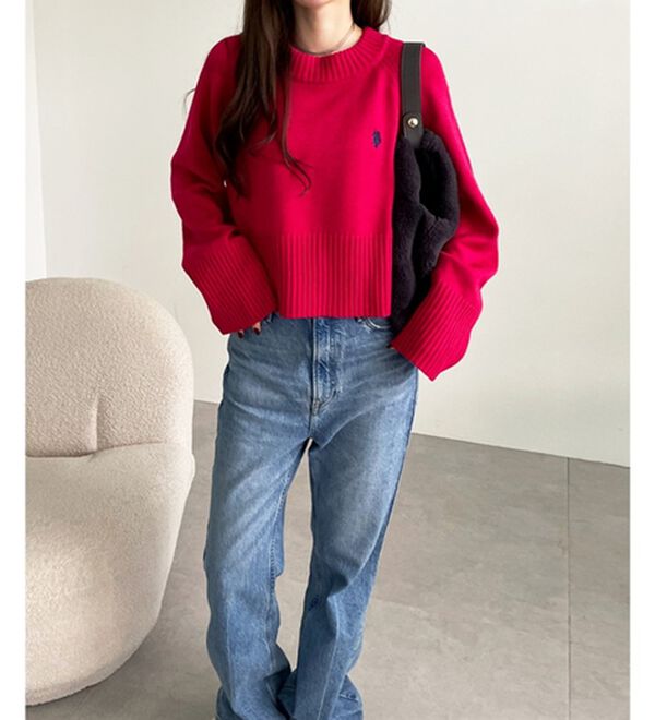 GeeRA（ジーラ）の「【ＵＳ．ＰＯＬＯ　ＡＳＳＮ】ショート丈ニット（ニット・セーター）」｜詳細画像