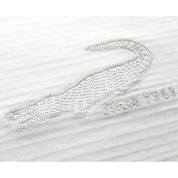 「【２色組】＜クロコダイル＞吸汗速乾ブランドＴシャツ（メンズＴシャツ）」｜詳細画像