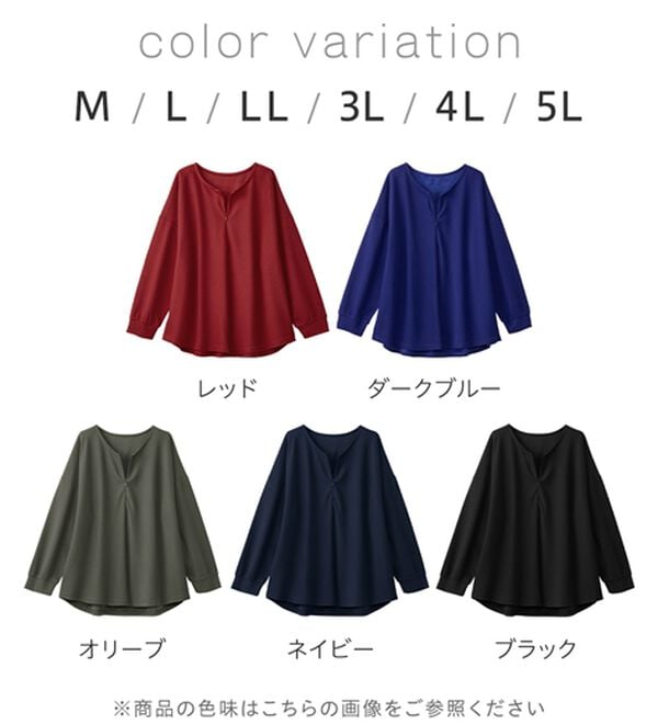 Viola e Viola（ヴィオラ エ ヴィオラ）の「細見えラインリップル素材ジップトップス（カットソー）」｜詳細画像