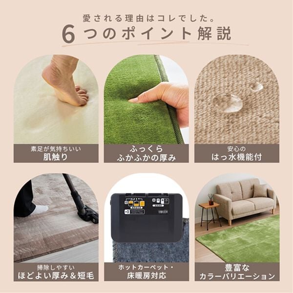 「ふわふわはっ水カーペット（カーペット）」｜詳細画像