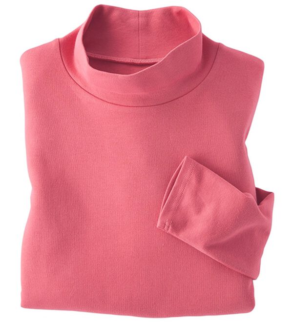 BELLUNA（ベルーナ）の「吸湿発熱ハイネックプルオーバー（カットソー）」｜詳細画像