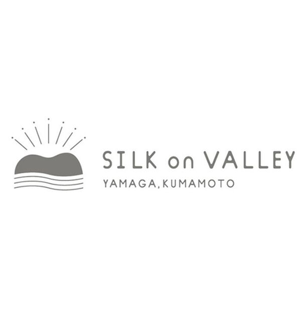 VINNO（ヴィノ）の「＜日本製＞シルクプロテイン加工・超長綿プルオーバー（カットソー）」｜詳細画像