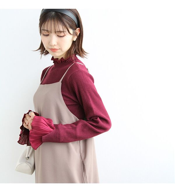 GeeRA（ジーラ）の「プリーツ付ハイネックリブニットトップス（ニット・セーター）」｜詳細画像