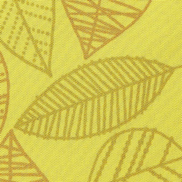 BELLUNA（ベルーナ）の「＜ＬＯＧＯＳ＞プリントはっ水パーカー（ハーフコート）」｜詳細画像