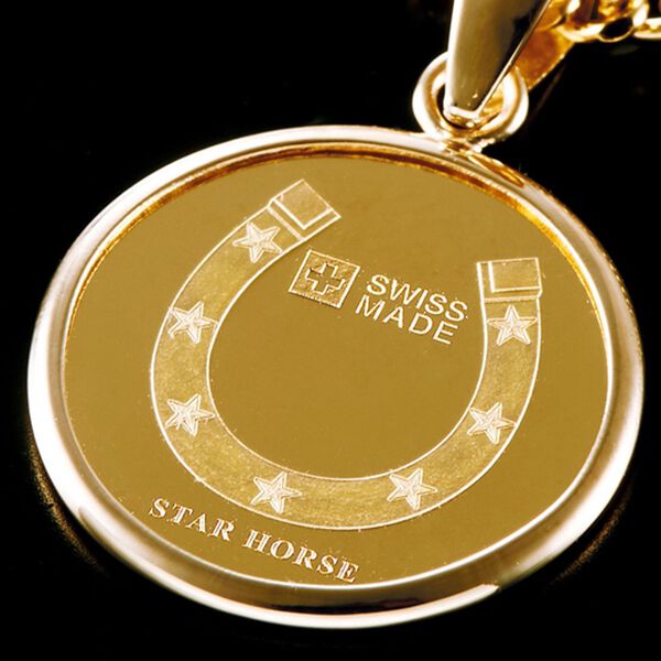 「純金コインペンダントコレクション（メンズネックレス）」｜詳細画像