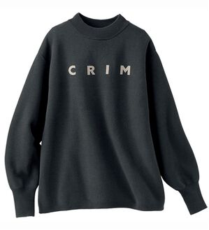 BELLUNA（ベルーナ）の「スウェットライク素材ニットプルオーバー（ニット・セーター）」｜チャコール系