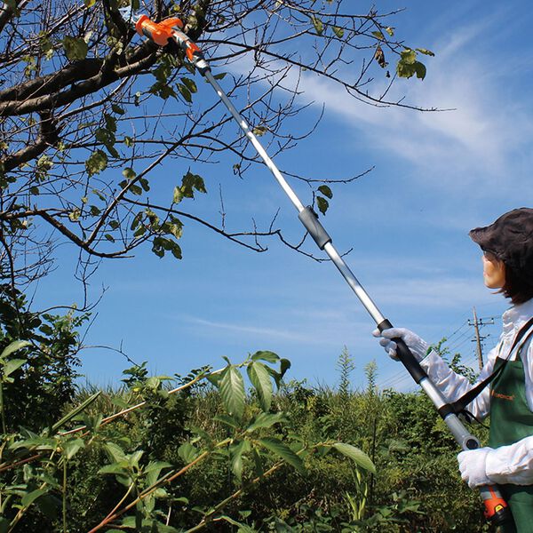 エインズレイ　アンテーク　ターコイズ　金枝葉　2段底 　置き場管理 001 エインズレイ アンテーク ターコイズ 金枝葉 2段底 置き場管理 001