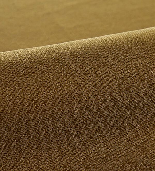 BELLUNA（ベルーナ）の「ベロア花柄チュール重ねチュニック（チュニック）」｜詳細画像