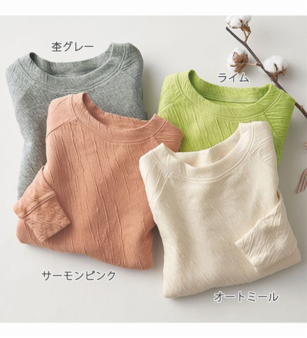 BELLUNA（ベルーナ）の「綿１００％柔らか接結プルオーバー（カットソー）」｜詳細画像