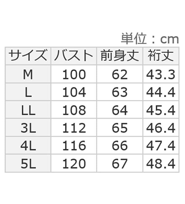alotta（アロッタ）の「【接触冷感】綿１００％袖レースプルオーバー　さらひやりコットン【イエべ・ブルべ】（カットソー）」｜詳細画像