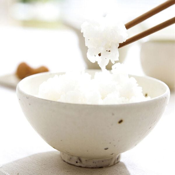 「米（マイ）スターの米ポット（保存容器・米びつ）」｜詳細画像