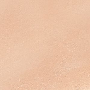 「プロの仕上がりプロシアファンデーションＵＶ（コスメ・メイク小物）」｜ライトベージュ