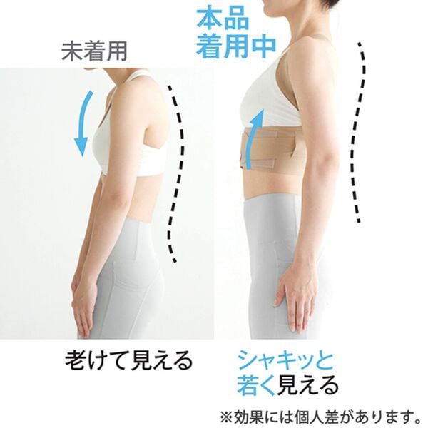 「お医者さんの（Ｒ）体幹姿勢サポーター　ピタ肌（サポーター・肩腰膝ケア）」｜詳細画像