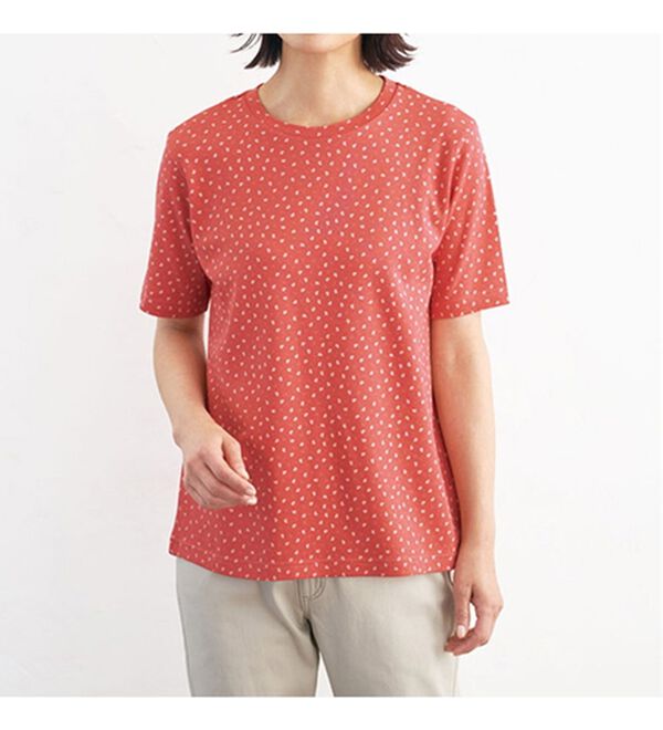 BELLUNA（ベルーナ）の「オーガニック超長綿１００％プルオーバー（カットソー）」｜詳細画像