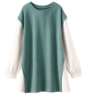 BELLUNA（ベルーナ）の「ボーダージャカード異素材切替チュニック（チュニック）」｜セージ