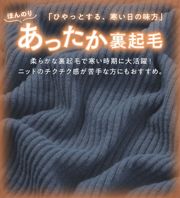 Viola e Viola（ヴィオラ エ ヴィオラ）の「【チクチクしにくい！】柔らかリブプチハイネックプルオーバー（カットソー）」｜詳細画像