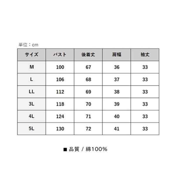 BELLUNA（ベルーナ）の「さらっと快適！Tシャツ見えブラウス（ブラウス）」｜詳細画像