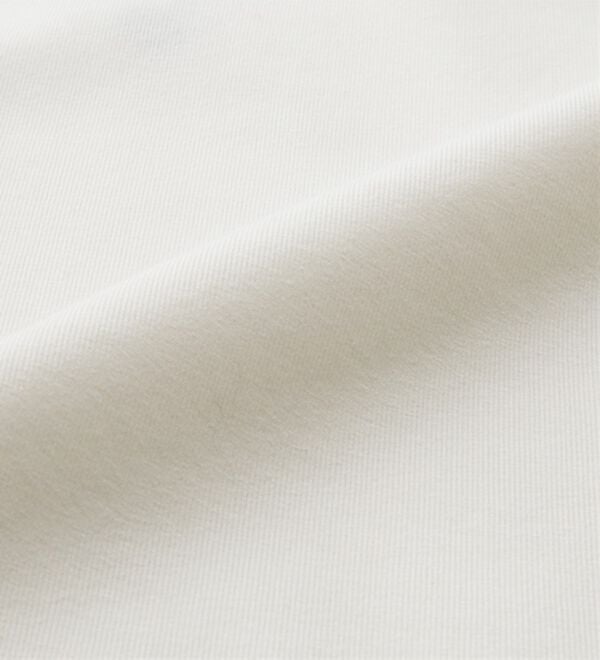 GeeRA（ジーラ）の「【ＵＳ．ＰＯＬＯ．ＡＳＳＮ】汗染み防止ミニＴシャツ（Tシャツ）」｜詳細画像