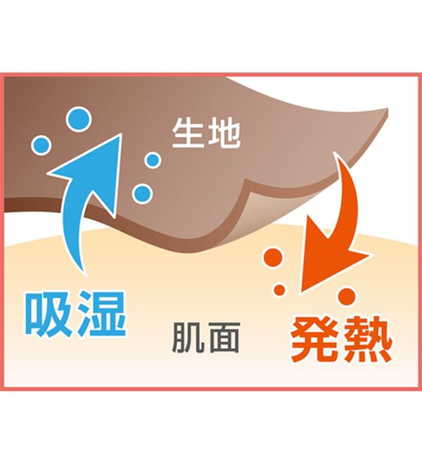 BELLUNA（ベルーナ）の「《ＨｕｇＲｅａｍコットン》裏起毛暖かハイネックプルオーバー（カットソー）」｜詳細画像