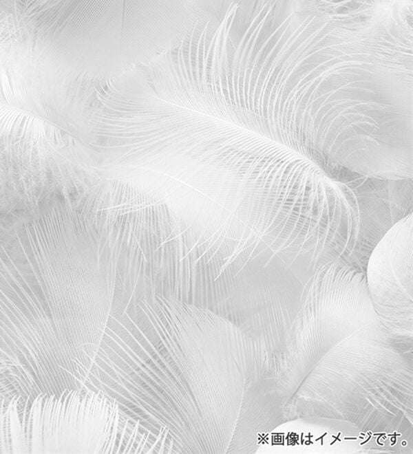 「＜コムルヴァン・オム＞洗えるフレンチダックダウンベスト（メンズベスト）」｜詳細画像