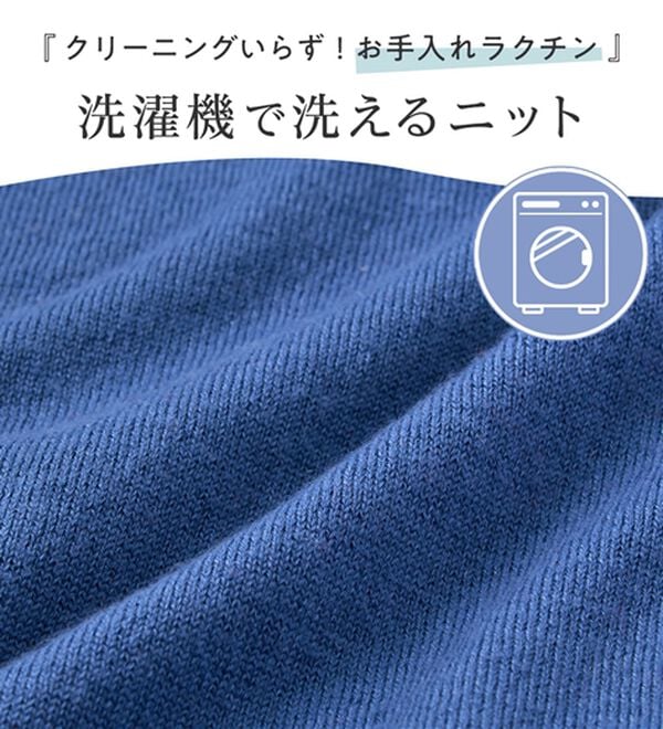 Viola e Viola（ヴィオラ エ ヴィオラ）の「【洗えるニット】着回し力抜群！秋から着られるシンプルニットトップス（ニット・セーター）」｜詳細画像