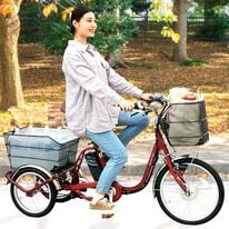 「ロータイプ電動三輪車（エクササイズ）」