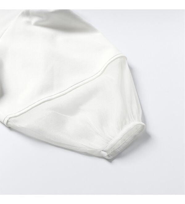 GeeRA（ジーラ）の「袖シアー切替ランタンスリーブトップス（カットソー）」｜詳細画像