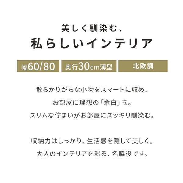 iellio（イエリオ）の「薄型リビング収納（リビング収納）」｜詳細画像
