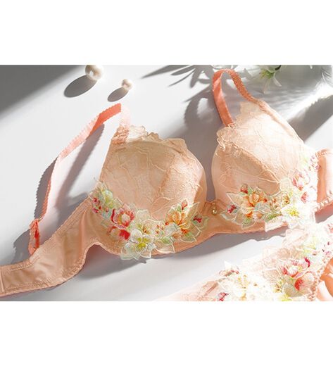 専用 Wacoal wing レシアージュ ブラジャーセット E65 Wing lesiage