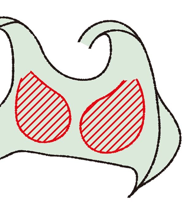 「【３色組】ＮＥＷノンワイヤーでらくらくブラ（ブラジャー）」｜詳細画像