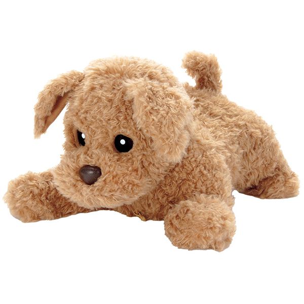 「ヒーリングパートナー　もっとおりこうダッキー（ホビー・アート・ＤＶＤ）」｜詳細画像