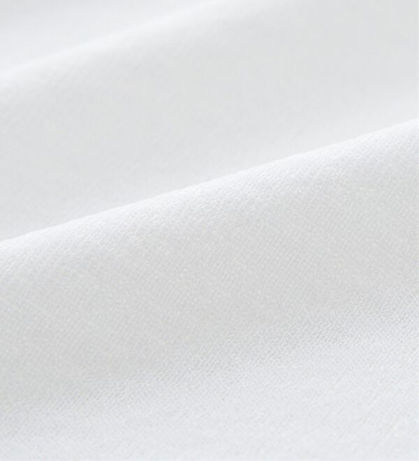 GeeRA（ジーラ）の「袖レーススラブシアーカットソー（カットソー）」｜詳細画像