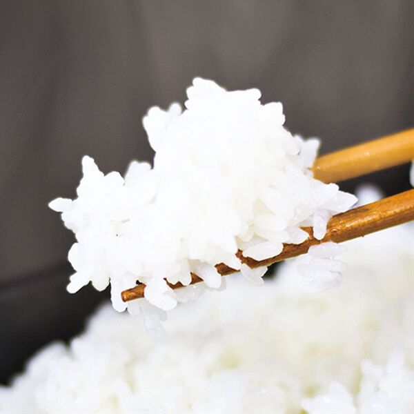 「おひとりさま用超高速弁当箱炊飯器　１段（キッチン家電・調理家電）」｜詳細画像