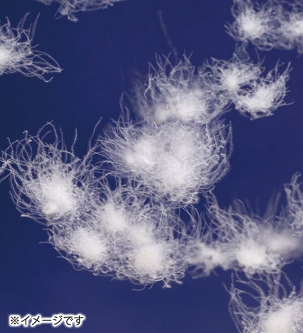 「＜コムルヴァン・オム＞ウール調ハーフコート（メンズコート）」｜詳細画像