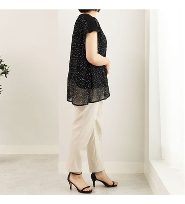 BELLUNA（ベルーナ）の「リブ使いシアーブラウス（カットソー）」｜詳細画像