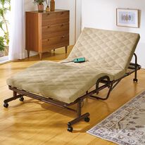 「組立簡単　お買い得電動ベッド（ベッド）」