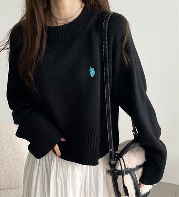 GeeRA（ジーラ）の「【ＵＳ．ＰＯＬＯ　ＡＳＳＮ】ショート丈ニット（ニット・セーター）」｜詳細画像