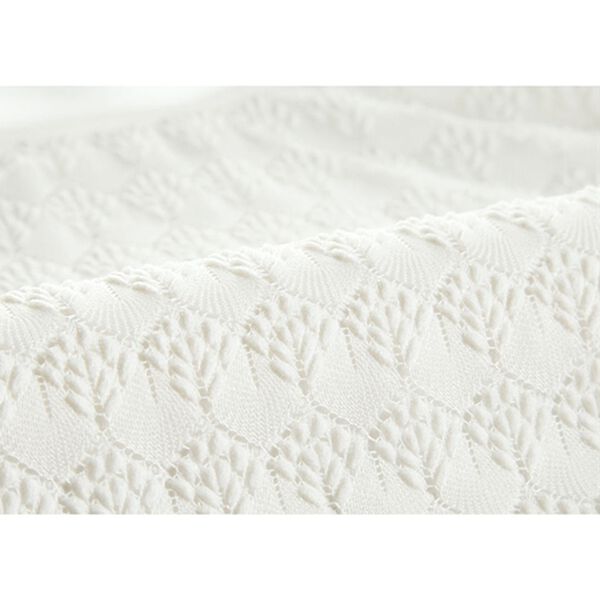 BELLUNA（ベルーナ）の「脱Ｔシャツ！レースデザインプルオーバー（カットソー）」｜詳細画像