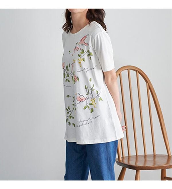 BELLUNA（ベルーナ）の「綿１００％プリントＴシャツ（Tシャツ）」｜詳細画像