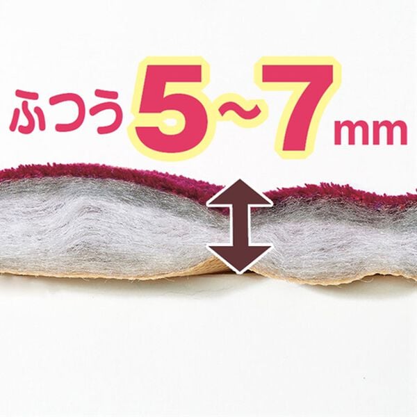 「５つ星機能のあったかぬくぬく贅沢カーペット（カーペット）」｜詳細画像