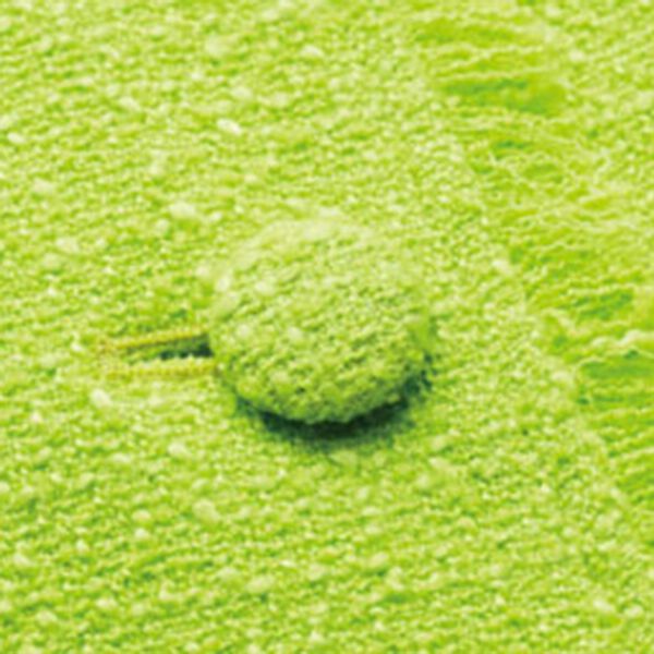 RANAN（ラナン）の「サマーツイードロングベスト（ベスト）」｜詳細画像