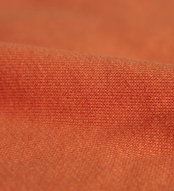 BELLUNA（ベルーナ）の「＜Ｄｉｓｎｅｙ＞【ミッキー】さがら刺しゅう裏毛トレーナー（カットソー）」｜詳細画像