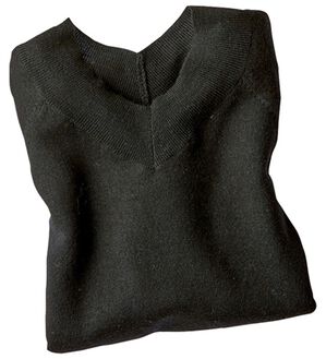 BELLUNA（ベルーナ）の「メリノウール１００％Ｖネックセーター（ニット・セーター）」｜黒