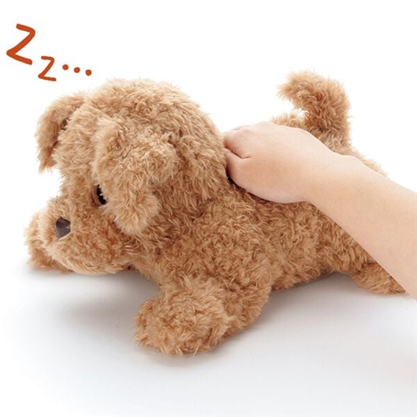 「ヒーリングパートナー　もっとおりこうダッキー（ホビー・アート・ＤＶＤ）」｜詳細画像