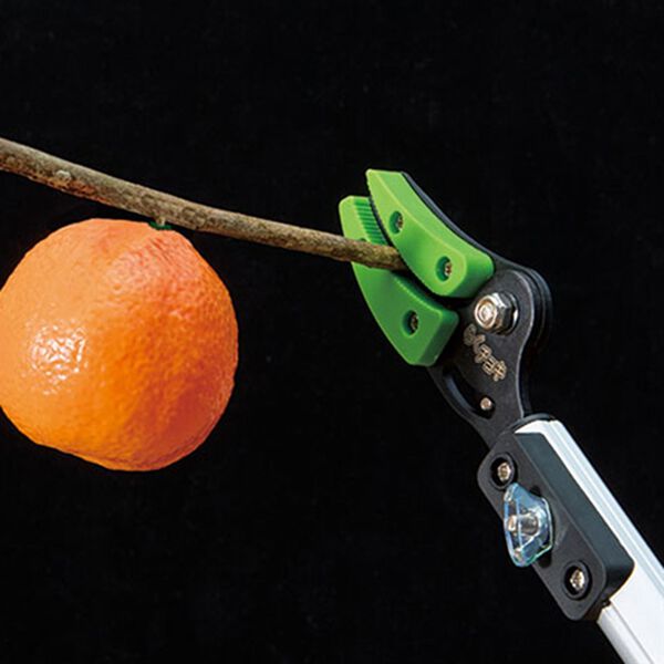 「新　伸縮ノコギリ高枝切りバサミ（ガーデニング・園芸用品）」｜詳細画像